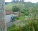 060905.Cat_cow_boy_t.gif