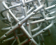 060910.Making_stools_t.gif