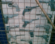 060911.shut_shop_t.gif