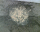 060920.sick_1_t.gif