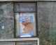 060928.Foundry_Window_t.gif