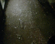061004.Smashing_night_t.gif