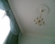 061007.Hotel1_t.gif