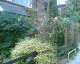 061018.rose_hips_t.gif