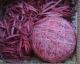 061020.Red_bands_t.gif
