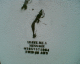 061108.G_Homeless_wall_t.gif