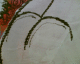 061109.bottom_t.gif