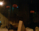 061112.Floating_t.gif