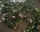 061126.City_Hall_t.gif