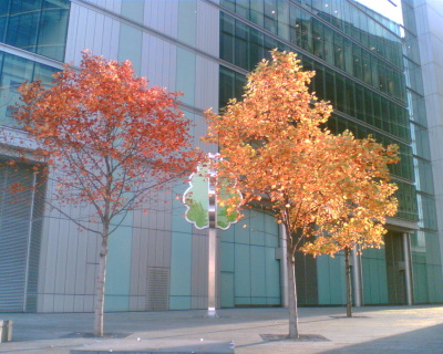 tracey moberly nee sanders-wood