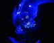 061204.lesbian_love_t.gif
