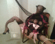 061206.Bedlam_4breasts_t.gif