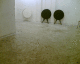 061214.Black_White_t.gif