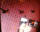 061219.3_flying_ducks_t.gif