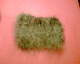 061222.spun_hair_t.gif