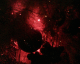 061224.Xmas_tree_t.gif