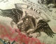 061229.Faile_strength_t.gif