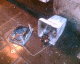 070105.broken_t.gif