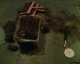 070106.Hair_spin_t.gif