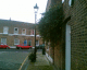 070109.dead_tree_t.gif