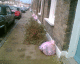 070110.dead_6_t.gif