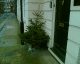 070113.dead_9_t.gif