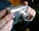 070121.Thomas_t.gif