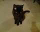 070203.Marley_t.gif
