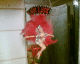 070209.Roadhouse_t.gif