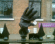 070213.Spik_in_glove_t.gif