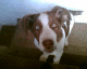 070225.Eyes_love_t.gif