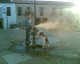 070225.Pabs_Fley_t.gif