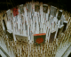 070302.Higgs_bosun_t.gif