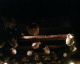 070305.jugs_t.gif