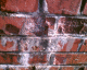 070306.weeping_wall_t.gif