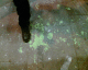 070401.Maddona's_dregs_t.gif