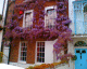 070409.whisteria3_kew_t.gif