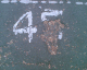 070422.45_t.gif