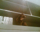 070423.cat_cupboard_t.gif