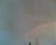 070506.Art_show_t.gif