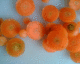 070515.goldfish_t.gif