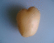 070515.love_tat_t.gif
