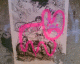 070518.pink_cat_t.gif