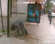 070519.streets_of_london2_t.gif