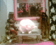 070528.Voodou_Cat_t.gif