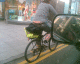 070530.Fat_arse_t.gif