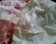 070603.Dead_not_buried_t.gif
