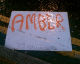 0706301.Amber_t.gif
