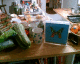 070722.Random_hirst_t.gif