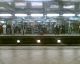 070726.Mark_Stalker_t.gif